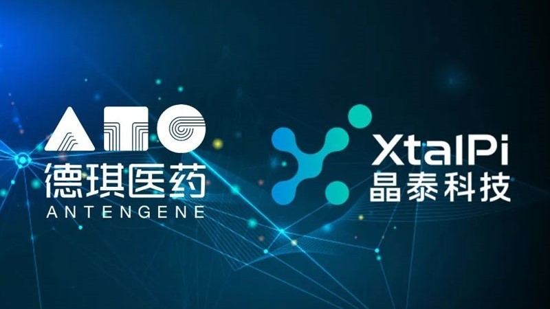 Analysis of Quantitative Evaluation Methods for Synergistic Effects of Antengene's AI+TCE Platform